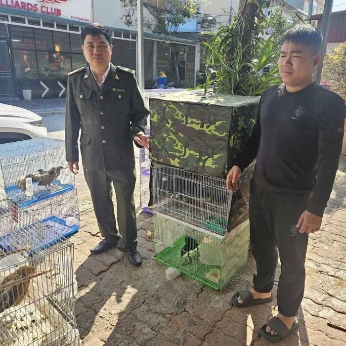 Cán bộ Hạt Kiểm lâm liên phường, xã Bắc Ninh kiểm tra tại hộ gia đình ông Đỗ Văn Nam (Ảnh: ĐH)