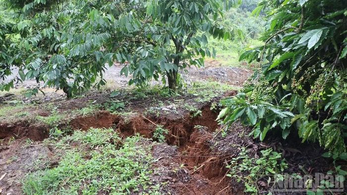 Nguyên nhân sụt trượt, nứt mặt đất đến nay vẫn chưa được xác định, phải chờ các cơ quan chức năng liên quan kiểm tra, đánh giá, kết luận.