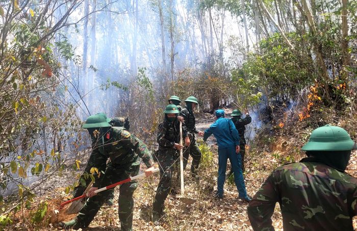  Lực lượng quân đội đang tạo ranh cản lửa, không cho đám cháy lan xuống khu dân cư 