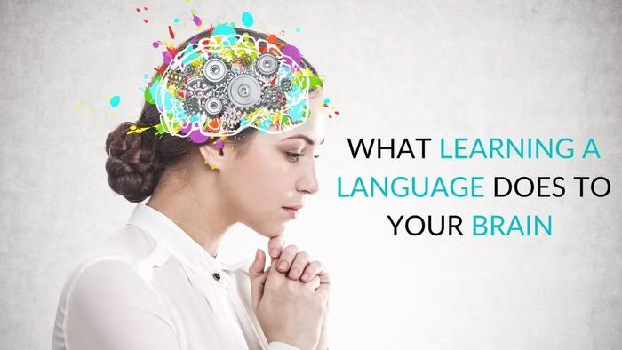 Nếu biết và thường xuyên sử dụng đến 4 ngôn ngữ khác nhau, bộ não có thể trẻ hơn người khác đến 13 năm.