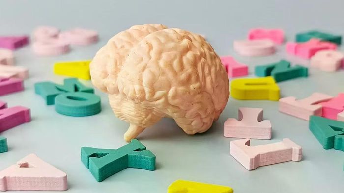 Hiểu biết nhiều ngôn ngữ được chứng minh là giúp não bộ trẻ hơn.