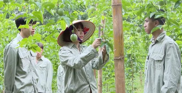 Học sinh Trường Trung cấp nghề Dân tộc nội trú Phú Thọ thực hành kỹ thuật chăm sóc cây trồng, gắn học nghề với thực tiễn sản xuất.