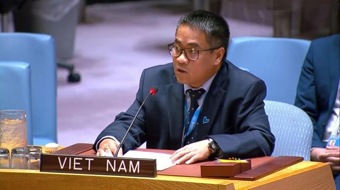 Công sứ Nguyễn Hải Lưu, Phó Trưởng Phái đoàn Thường trực Việt Nam tại Liên hợp quốc phát biểu. (Nguồn: Phái đoàn Thường trực Việt Nam tại Liên hợp quốc)