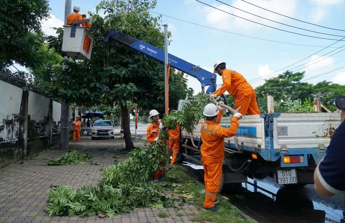 Cắt tỉa nhánh cây để đảm bảo hành lang an toàn lưới điện