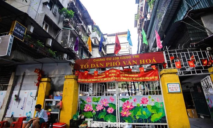 Khu tập thể 23 Hàng Tre - 162 Trần Quang Khải rộng khoảng 1.485m², hiện có 4 tòa nhà 5 tầng, với 85 căn hộ. Theo kết quả kiểm định của Sở Xây dựng, một số cấu kiện tại khu tập thể không còn đáp ứng yêu cầu về khả năng chịu lực, tiềm ẩn nguy cơ mất an toàn cục bộ.