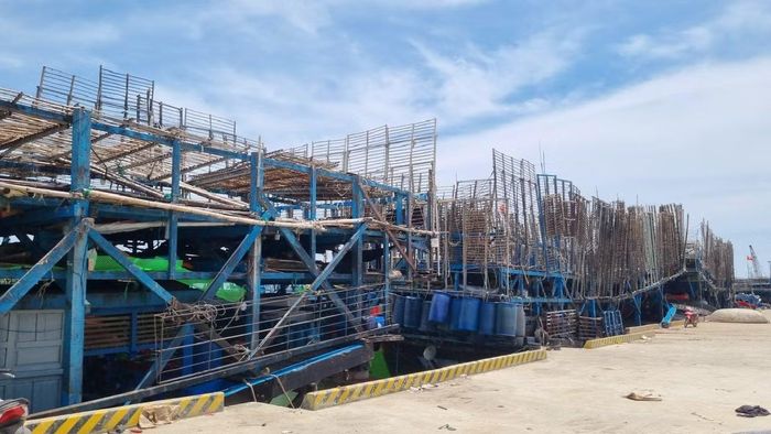 Tàu câu mực của ngư dân neo đậu tại cảng cá Tam Quang, xã Núi Thành, TP Đà Nẵng.