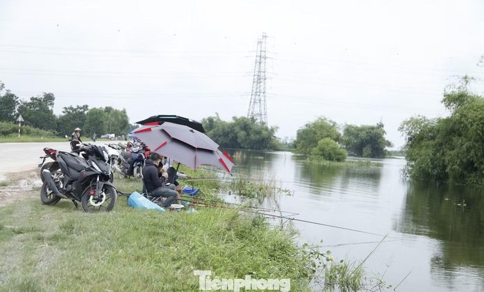 Tại khu vực thôn Đông Vân và Hưng Đạo của xã Hiệp Hòa (tỉnh Bắc Ninh), nước lũ dâng cao làm ngập ruộng lúa và đầm lầy. Đây cũng là lúc các "cần thủ" đua nhau đến săn cá. Ảnh: Nguyễn Thắng