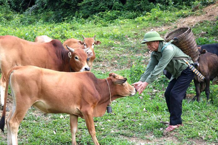Người có uy tín trở thành cầu nối quan trọng trong tuyên truyền, vận động và hóa giải những khúc mắc ngay từ cộng đồng.