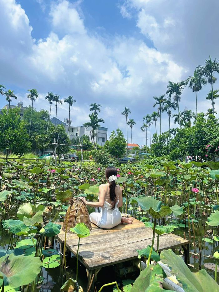Du khách chụp hình ở đầm sen. Ảnh: Dương Kim Chi