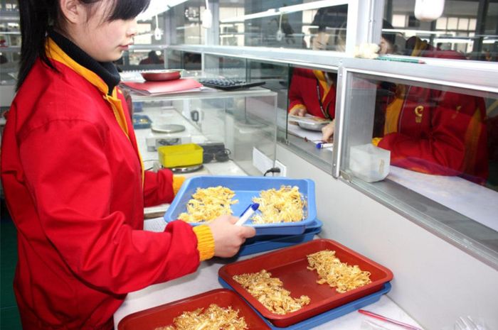 Việc tài sản thế chấp được bảo hiểm đã giúp các khoản vay của Kingold có thêm lớp bảo đảm, trong khi những lỗ hổng trong quy trình kiểm định tạo điều kiện để số vàng giả qua mặt các bên cho vay. Ảnh: Caixin Global