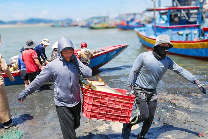 Phường Hải Ninh phát triển mạnh mẽ các mô hình nuôi trồng thủy hải sản và nâng cao năng lực đánh bắt.