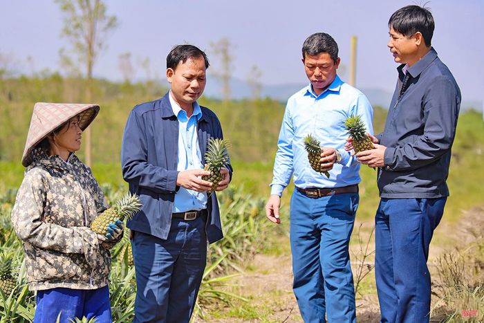  Phó Chủ tịch UBND xã Kỳ Hoa Dương Tri (thứ 2 từ trái sang) trăn trở trong việc xây dựng các mô hình kinh tế nông nghiệp có giá trị cao. 