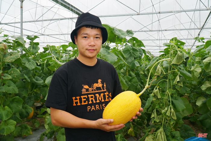 “Mỗi vụ dưa kéo dài khoảng 70 ngày, hầu như công đoạn nào cũng phải chăm sóc cẩn thận, tỉ mỉ. Đặc biệt, thời điểm thu hái phải tính toán kỹ, dựa vào quá trình sinh trưởng và độ chín của quả, bởi thu hoạch sớm hay muộn đều ảnh hưởng đến chất lượng dưa”, anh Nguyễn Doãn Vũ chia sẻ.