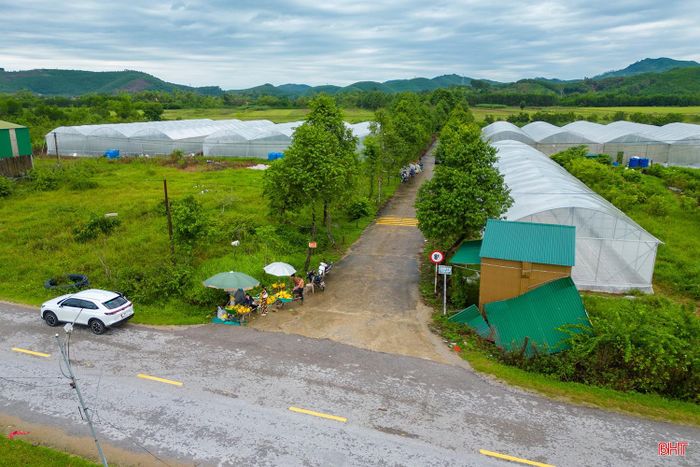 Ông Lê Văn Hiệp - Phó Bí thư Đảng ủy, Chủ tịch UBND xã Đức Đồng cho biết: "Từ 3 hộ triển khai mô hình tại thôn Sơn Quang năm 2021, đến nay, diện tích nhà màng đã được mở rộng lên 10.000m². Mỗi năm, các hộ sản xuất 3 vụ dưa lưới, đạt khoảng 195 tấn, doanh thu gần 5 tỷ đồng, đồng thời luân canh dưa chuột, rau đậu và tạo việc làm thường xuyên cho nhiều lao động địa phương".