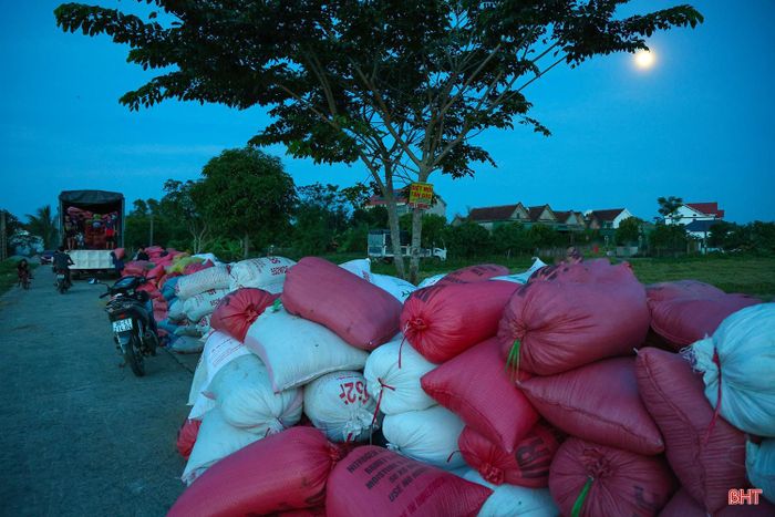 Hoạt động thu mua lúa diễn ra từ sáng đến tối muộn.