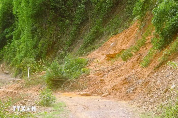 Sau những trận mưa lớn kéo dài liên tiếp xảy ra từ ngày 23/8, điểm sạt lở xảy ra vào sáng 19/8 lại tái diễn, lượng lớn đất đá và cây rừng đổ tràn xuống, phủ kín mặt đường. (Ảnh: Xuân Tiến/TTXVN)