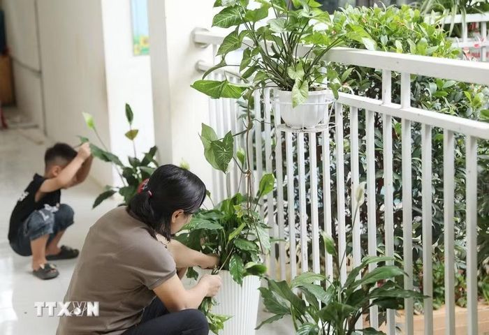 Giáo viên Trường Mầm non Thu Lũm chỉnh trang lại khuôn viên trường chuẩn bị cho năm học mới. (Ảnh: Quý Trung/TTXVN)