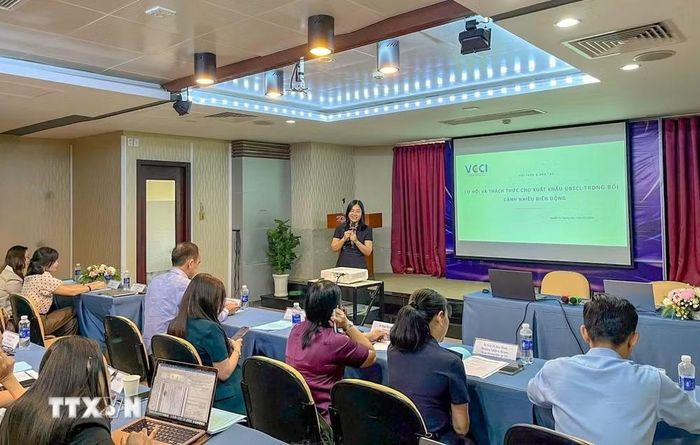 Bà Nguyễn Thị Thương Lin, Phó Giám đốc VCCI Đồng bằng sông Cửu Long ,chia sẻ thông tin về thị trường Trung Quốc tại Hội thảo. (Ảnh: Thanh Liêm/TTXVN)
