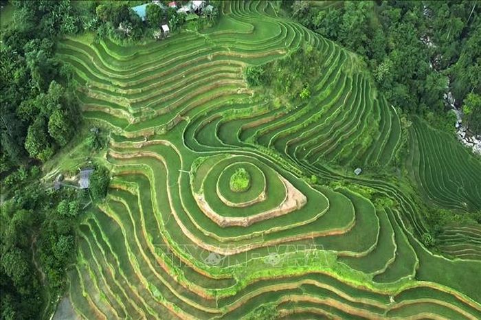 Những thửa ruộng bậc thang tạo nên cảnh quan đặc trưng, hấp dẫn du khách đến với Tuyên Quang. Ảnh: Minh Tâm/TTXVN