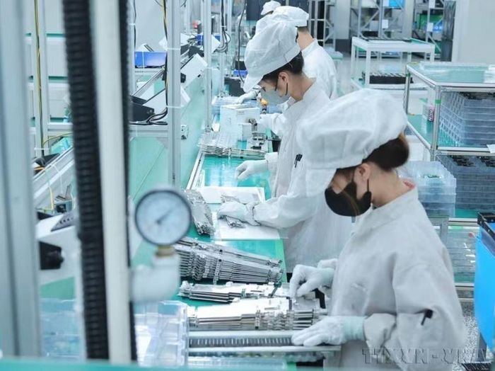 Hoạt động sản xuất ở Công ty Trách nhiệm hữu hạn Bumjim Electronics Vina (100% vốn Hàn Quốc) tại Quảng Ninh. Ảnh minh họa: Hoàng Hiếu/TTXVN