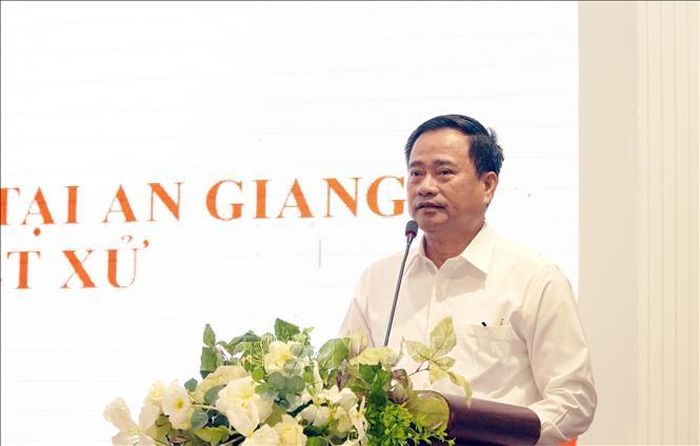 Ông Lê Thanh Phong, Thẩm phán Tòa án nhân dân tối cao, phát biểu.