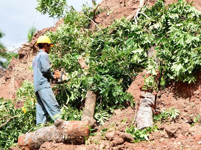 Công nhân cùng máy cuốc, xe ủi, cắt tỉa cây để mở rộng phạm vi phục vụ công tác tìm kiếm.