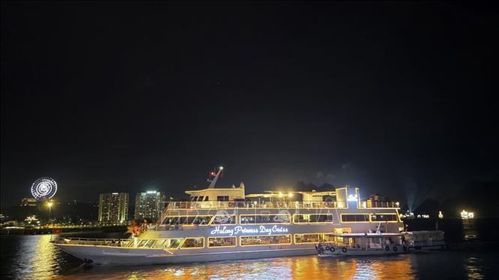Không gian sang trọng, lịch lãm của dàn tàu du lịch hiện đại, góp phần nâng tầm trải nghiệm đẳng cấp cho du khách trên vịnh Hạ Long.