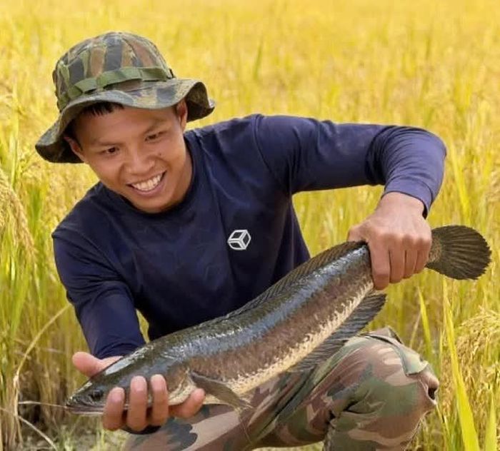 Anh Nhã vui vẻ khi bắt được con cá lóc đồng.