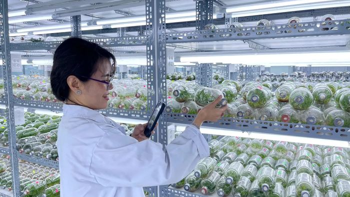 Công ty Deep Pro khảo sát Trung tâm Ươm tạo Doanh nghiệp Nông nghiệp Công nghệ cao.