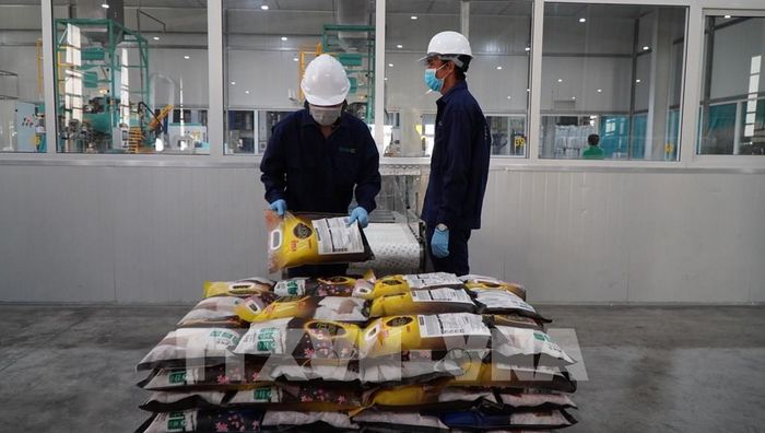 Hoạt động sản xuất tại Công ty TNHH lúa gạo Việt Nam (Vinarice). Ảnh: Nhựt An - TTXVN