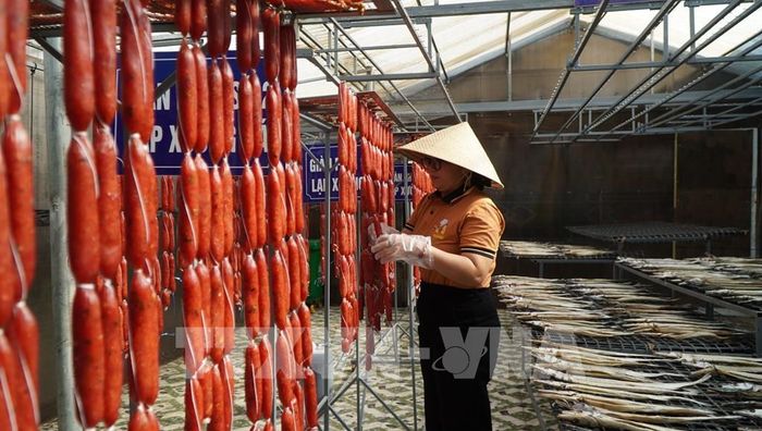Công ty TNHH chế biến thủy sản Ba Khía Foods (xã Tân Hộ Cơ, tỉnh Đồng Tháp) sản xuất cá khô, lạp xưởng cá lóc, lạp xưởng cua. Ảnh: Nhựt An - TTXVN