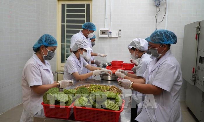 Hoạt động sản xuất từ sen tại Công ty TNHH Sản xuất và thương mại Hương Sen Đồng Tháp. Ảnh: Nhựt An - TTXVN