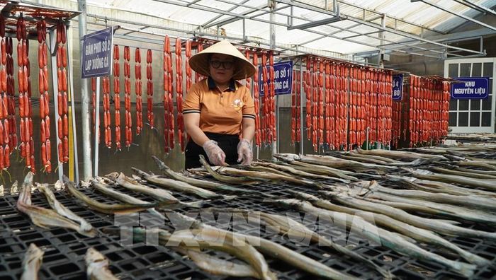 Phơi cá tại Công ty TNHH chế biến thủy sản Ba Khía Foods. Ảnh: Nhựt An - TTXVN