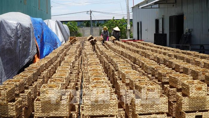 Công ty TNHH Xuất nhập khẩu Bình An Thịnh xuất khẩu các sản phẩm thủ công mỹ nghệ từ cây cói, lục bình… Ảnh: Nhựt An - TTXVN