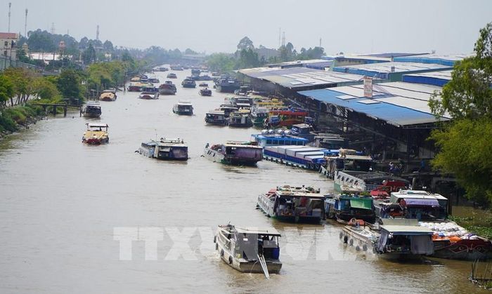 Nhiều doanh nghiệp hoạt động trong lĩnh vực xay xát lúa gạo tập trung ven kênh xáng Lấp Vò (xã Lấp Vò, tỉnh Đồng Tháp). Ảnh: Nhựt An - TTXVN