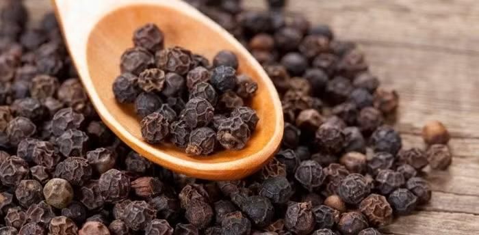 Giá tiêu hôm nay tại các vùng sản xuất trọng điểm tiếp tục đi ngang