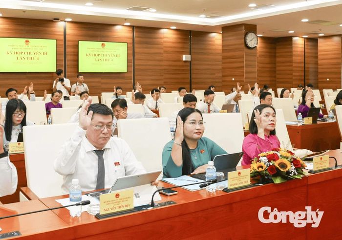 Các đại biểu biểu quyết thông qua nghị quyết.