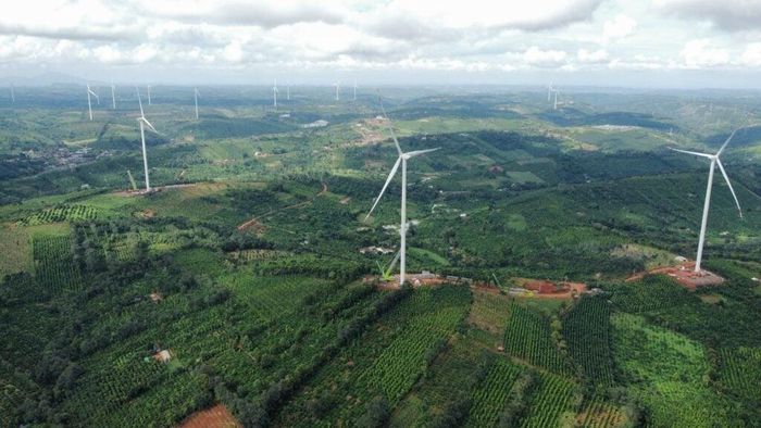 Dự án điện gió Đắk Hoà. Ảnh: PECC3