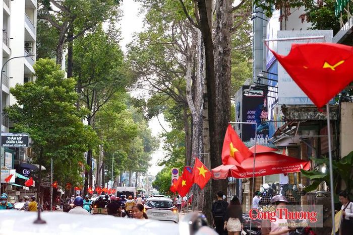 Không chỉ các khu vực trung tâm, cờ Tổ quốc cũng được treo đồng loạt tại nhiều khu dân cư, tuyến đường, góp phần tạo không khí trang trọng trước ngày Quốc khánh.