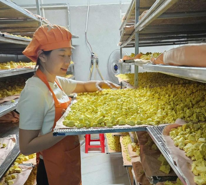Sản phẩm từ nghệ nếp đỏ được chế biến theo hướng nâng cao giá trị. Ảnh: Nguyễn Thuấn.