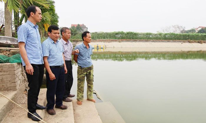 Lãnh đạo Chi cục Chăn nuôi, Thú y và Thủy sản tỉnh kiểm tra mô hình ứng dụng công nghệ cao nuôi cá thâm canh của gia đình ông Nguyễn Văn Chính, xã Nhã Nam.