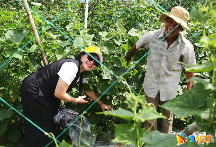 Nông dân xã Thượng Đức sản xuất nông nghiệp phục vụ du lịch làng quê. Ảnh: CÔNG TÚ