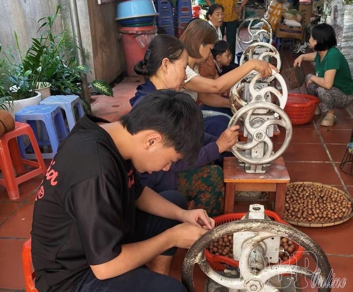 Nhân công cơ sở chế biến mắc ca Thoa Doãn sơ chế hạt mắc ca.