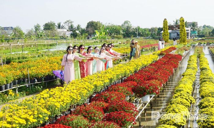 Làng hoa Sa Đéc - nét đặc trưng riêng của Sa Đéc ngày nay.