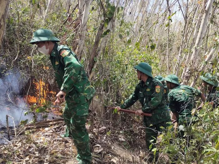  120 cán bộ, chiến sĩ tham gia chữa cháy rừng phòng hộ tại phường Quy Nhơn Nam. Ảnh: Thanh Bình 