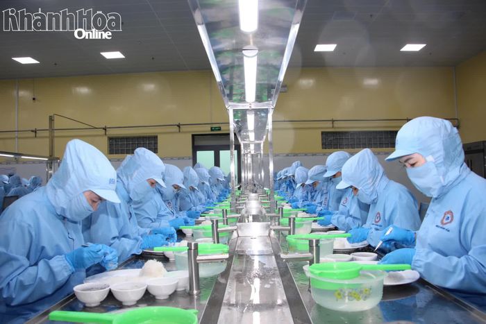 Hoạt động sản xuất tại Công ty TNHH Nhà nước Một thành viên Yến sào Khánh Hòa. Ảnh: VĂN GIANG