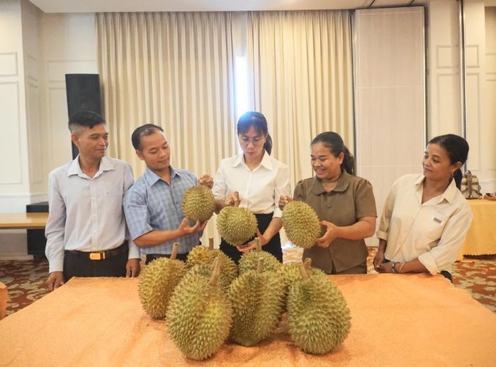 Sầu riêng được giới thiệu trong khuôn khổ hội nghị.