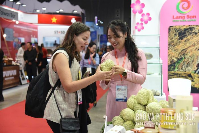 Lãnh đạo Ban Quản lý CVĐC toàn cầu UNESCO và Xúc tiến Du lịch tỉnh giới thiệu sản phẩm OCOP tiêu biểu của Lạng Sơn đến du khách nước ngoài