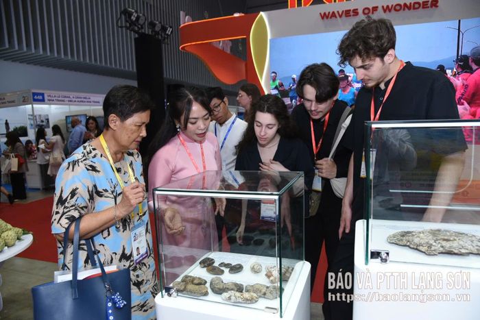 Du khách được nghe giới thiệu về các hoá thạch tiêu biểu của CVĐC toàn cầu UNESCO Lạng Sơn tại gian trưng bày