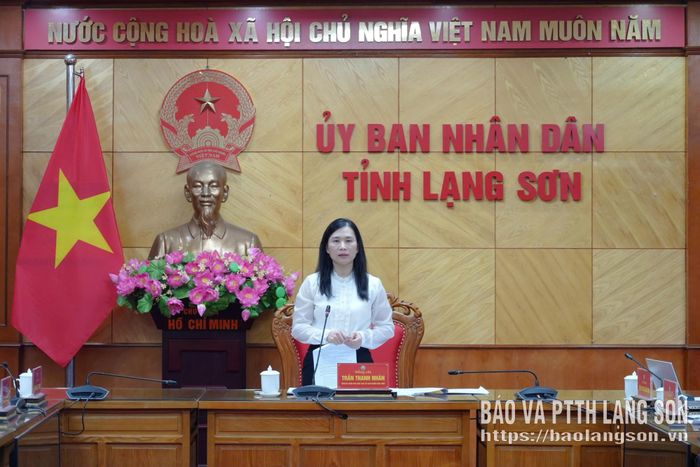 Đồng chí Trần Thanh Nhàn, Phó Chủ tịch UBND tỉnh phát biểu tại cuộc họp